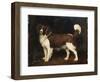 A Spaniel in a Landscape, 1784-George Stubbs-Framed Giclee Print