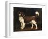 A Spaniel in a Landscape, 1784-George Stubbs-Framed Giclee Print