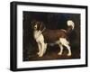 A Spaniel in a Landscape, 1784-George Stubbs-Framed Giclee Print