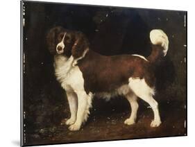 A Spaniel in a Landscape, 1784-George Stubbs-Mounted Giclee Print