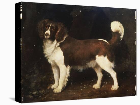 A Spaniel in a Landscape, 1784-George Stubbs-Stretched Canvas