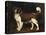 A Spaniel in a Landscape, 1784-George Stubbs-Stretched Canvas