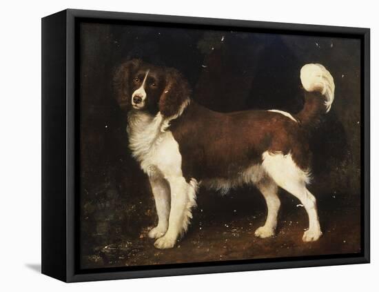 A Spaniel in a Landscape, 1784-George Stubbs-Framed Stretched Canvas