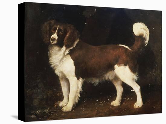 A Spaniel in a Landscape, 1784-George Stubbs-Stretched Canvas