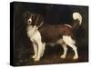A Spaniel in a Landscape, 1784-George Stubbs-Stretched Canvas