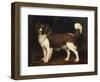 A Spaniel in a Landscape, 1784-George Stubbs-Framed Premium Giclee Print