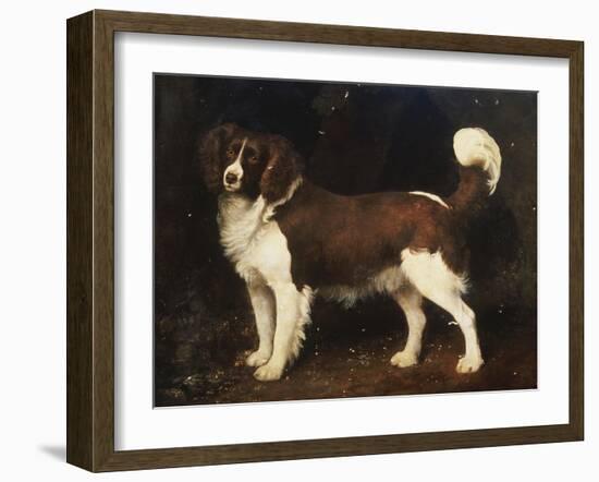 A Spaniel in a Landscape, 1784-George Stubbs-Framed Giclee Print