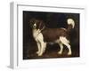 A Spaniel in a Landscape, 1784-George Stubbs-Framed Giclee Print