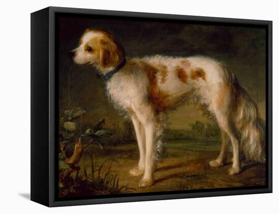 A Spaniel in a Landscape by Thomas Gainsborough-Thomas Gainsborough-Framed Stretched Canvas