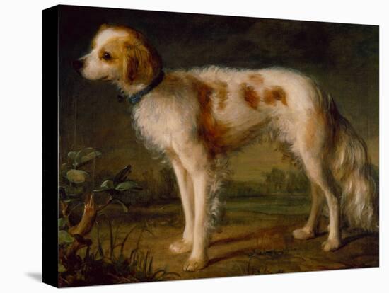 A Spaniel in a Landscape by Thomas Gainsborough-Thomas Gainsborough-Stretched Canvas