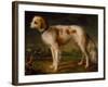 A Spaniel in a Landscape by Thomas Gainsborough-Thomas Gainsborough-Framed Giclee Print