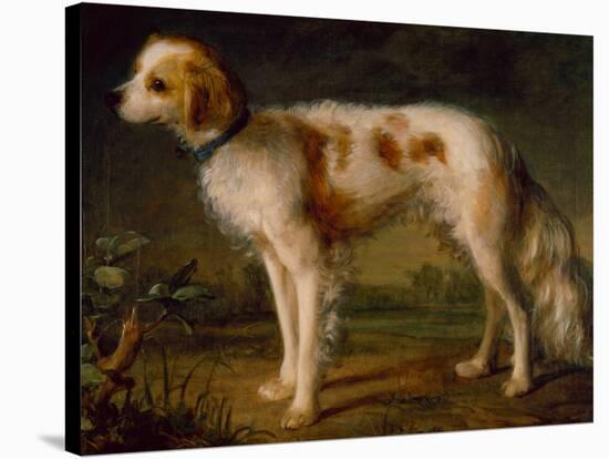 A Spaniel in a Landscape by Thomas Gainsborough-Thomas Gainsborough-Stretched Canvas