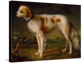 A Spaniel in a Landscape by Thomas Gainsborough-Thomas Gainsborough-Stretched Canvas