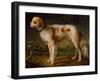 A Spaniel in a Landscape by Thomas Gainsborough-Thomas Gainsborough-Framed Giclee Print