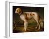 A Spaniel in a Landscape by Thomas Gainsborough-Thomas Gainsborough-Framed Giclee Print