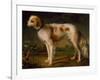 A Spaniel in a Landscape by Thomas Gainsborough-Thomas Gainsborough-Framed Giclee Print