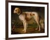 A Spaniel in a Landscape by Thomas Gainsborough-Thomas Gainsborough-Framed Giclee Print