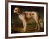 A Spaniel in a Landscape by Thomas Gainsborough-Thomas Gainsborough-Framed Giclee Print