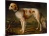 A Spaniel in a Landscape by Thomas Gainsborough-Thomas Gainsborough-Mounted Giclee Print