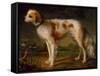 A Spaniel in a Landscape by Thomas Gainsborough-Thomas Gainsborough-Framed Stretched Canvas