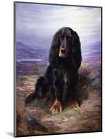 A Spaniel in the Highlands-Lilian Cheviot-Mounted Giclee Print