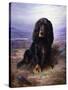 A Spaniel in the Highlands-Lilian Cheviot-Stretched Canvas