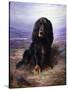 A Spaniel in the Highlands-Lilian Cheviot-Stretched Canvas