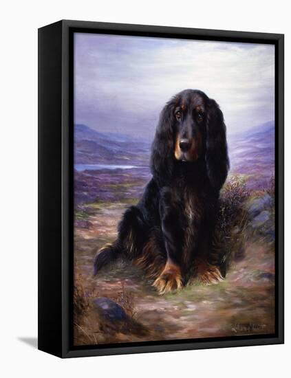 A Spaniel in the Highlands-Lilian Cheviot-Framed Stretched Canvas