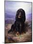 A Spaniel in the Highlands-Lilian Cheviot-Mounted Giclee Print
