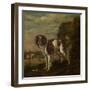 A Spaniel-Paulus Potter-Framed Art Print