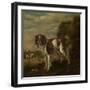 A Spaniel-Paulus Potter-Framed Art Print