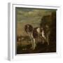 A Spaniel-Paulus Potter-Framed Art Print