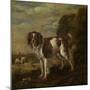 A Spaniel-Paulus Potter-Mounted Art Print