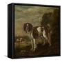 A Spaniel-Paulus Potter-Framed Stretched Canvas