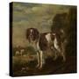 A Spaniel-Paulus Potter-Stretched Canvas