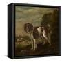 A Spaniel-Paulus Potter-Framed Stretched Canvas