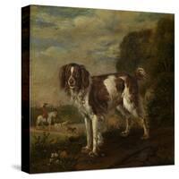 A Spaniel-Paulus Potter-Stretched Canvas