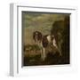 A Spaniel-Paulus Potter-Framed Art Print