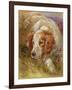 A Spaniel-James Jnr Hardy-Framed Giclee Print