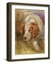 A Spaniel-James Jnr Hardy-Framed Giclee Print