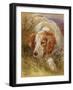 A Spaniel-James Jnr Hardy-Framed Giclee Print