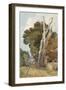 A Spanish Chestnut Tree Struck by Lightning (W/C & Pencil on Paper)-John Sell Cotman-Framed Giclee Print