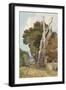 A Spanish Chestnut Tree Struck by Lightning (W/C & Pencil on Paper)-John Sell Cotman-Framed Giclee Print