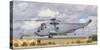 A Spanish Navy Sh-3D Helicopter-Stocktrek Images-Stretched Canvas