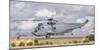 A Spanish Navy Sh-3D Helicopter-Stocktrek Images-Mounted Photographic Print