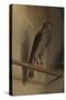 A Sparrowhawk, 1510S-Jacopo De' Barbari-Stretched Canvas