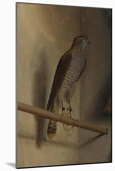 A Sparrowhawk, 1510S-Jacopo De' Barbari-Mounted Giclee Print