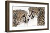 A Special Bond-Jan Henderson-Framed Premium Giclee Print