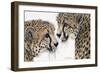 A Special Bond-Jan Henderson-Framed Art Print