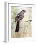 A Special Place Any Time of the Day-Trudy Rice-Framed Art Print